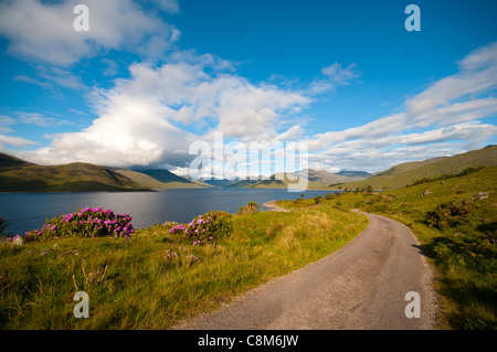 Le loch et les montagnes de Quoich Knoydart, Glen Garry, région des Highlands, Ecosse, Royaume-Uni Banque D'Images