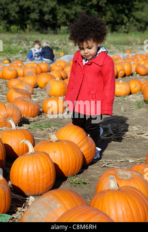 Jeune fille ressemble à un champ de citrouilles Banque D'Images