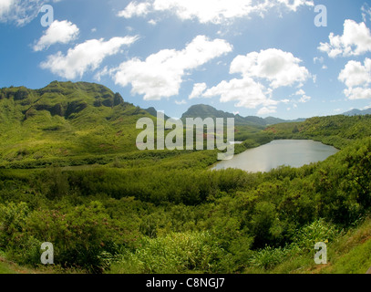 Vue d'ensemble sur l'Menehune vivier, Kauai Banque D'Images