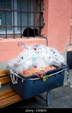 Chat noir dormir près de filets de pêche, Vernazza, Cinqueterre, Cinque Terre, ligurie, italie Banque D'Images