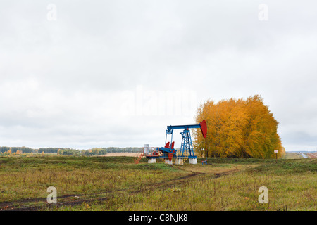 L'un des chevalets de pompage sur un champ de pétrole. Automne en Russie Banque D'Images