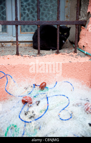 Chat noir dormir près de filet de pêche, Vernazza, Cinqueterre, Cinque Terre, ligurie, italie Banque D'Images