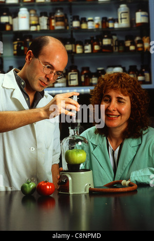 Dans une expérience de laboratoire, Bernard Priem et Monia Yunovitz étudient les effets des N-glycanes sur la maturation de la tomate. De faibles concentrations favorisent le mûrissement, tandis que des concentrations plus élevées l’empêchent, fournissant un aperçu des processus biologiques qui pourraient profiter aux pratiques agricoles. Banque D'Images