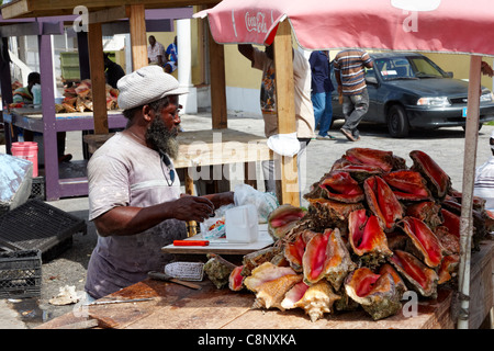 L'homme frais de vente, des potiers de conque Cay, Nassau, New Providence Island, Bahamas, Caraïbes Banque D'Images