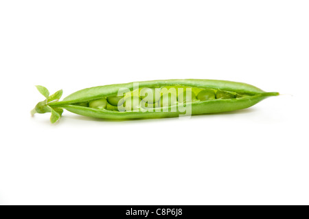 Les gousses de pois verts sur fond blanc Banque D'Images