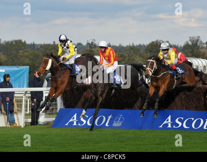 L-R Monde libre monté par Paul Moloney, Ranger douce montée par Hadden Frost et Golden Kite monté par Robert Thornton laisse le champ aux chambre Gold Cup Handicap Chase à l'hippodrome d'Ascot, Ascot, Berkshire -29/10/11 - Crédit : Martin Dalton/TGSPHOTO Banque D'Images