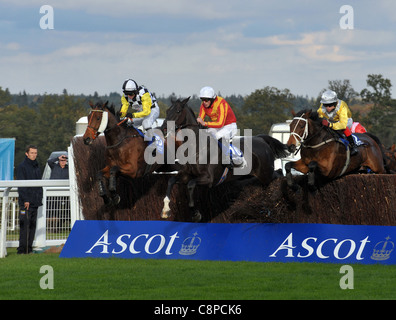 L-R Monde libre monté par Paul Moloney, Ranger douce montée par Hadden Frost et Golden Kite monté par Robert Thornton laisse le champ aux chambre Gold Cup Handicap Chase à l'hippodrome d'Ascot, Ascot, Berkshire -29/10/11 - Crédit : Martin Dalton/TGSPHOTO Banque D'Images