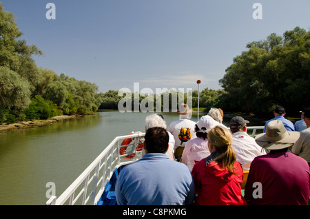 Roumanie, Dobrudgea, Tulcea, région du Delta du Danube. Canal Sulina bordée de saules d'argent (alias wild willow) arbres. Banque D'Images