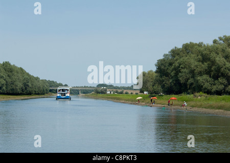 Roumanie, dobrudgea, Tulcea, région du delta du danube. bucuresti channel bordée de saules d'argent (alias wild willow) arbres. Banque D'Images