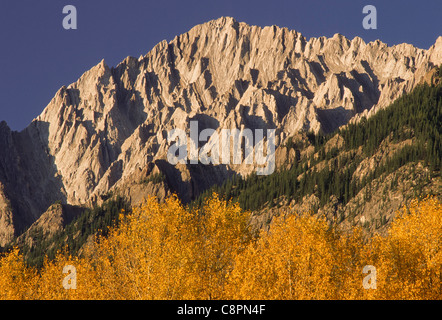 Fortement érodé sommets de la gamme Sawback et couleur automne tremble, Banff National Park, montagnes Rocheuses, Alberta, Canada Banque D'Images