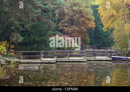 Jardin botanique de l'automne Wroclaw Pologne Banque D'Images