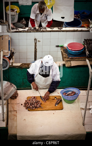 Homme couper du poisson à son échoppe à San Camilo marché alimentaire intérieur Arequipa Pérou Banque D'Images