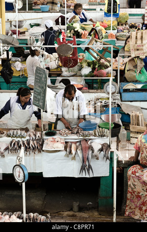 Cale à poisson San Camilo marché alimentaire intérieur Arequipa Pérou Banque D'Images