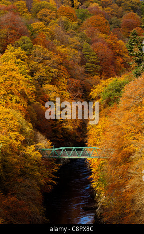 Rivière Garry et pont vert entouré d'automne couleur de buisson pouvant atteindre 12-15 pieds et de pins, col de Killiecrankie, Perthshire en Écosse Banque D'Images