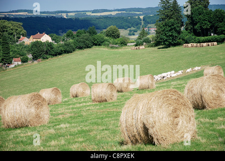 France, Bourgogne, campagne autour de Flavigny-sur-Ozerain, avec des bottes de foin en premier plan Banque D'Images