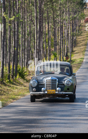 PINAR DEL RIO : CLASSIC VINTAGE VOITURE AMÉRICAINE CONDUITE LE LONG DE LA ROUTE bordée d'arbres dans la vallée de Vinales Banque D'Images