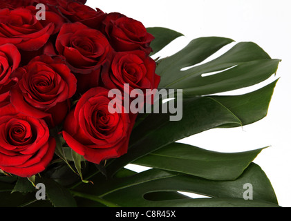 Un gros plan d'un bouquet de fleurs colorées. Roses rouges et feuilles tropicales. Banque D'Images