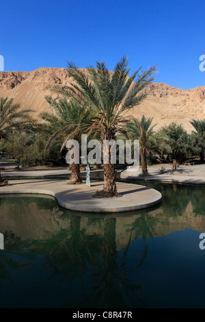 Piscines d'eau à Ein Feshkha ou Einot Tzukim nature réserver son nom d'un printemps de l'eau saumâtre de la région sur la rive nord-ouest de la Mer Morte Israël Banque D'Images