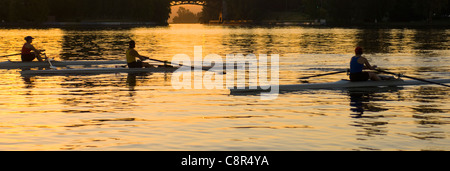 People rowing sculling boats on river