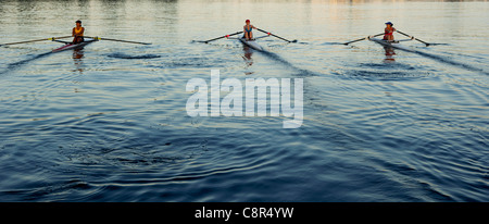 People rowing sculling boats on river