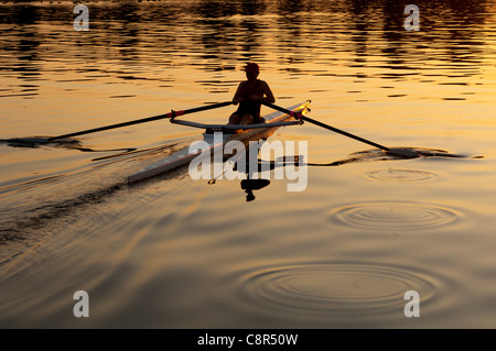 Personne rowing sculling boat on river Banque D'Images