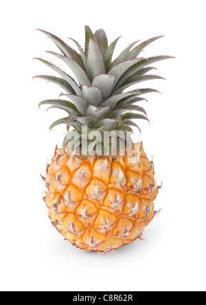 Ananas bébé isolé sur fond blanc Banque D'Images