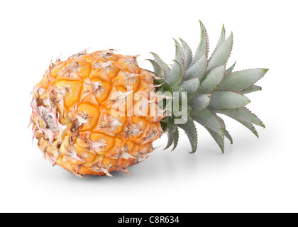 Ananas bébé isolé sur fond blanc Banque D'Images