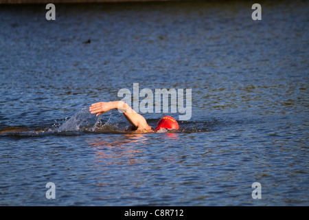 Le nageur dans le lac Serpentine, à Hyde Park, Londres Banque D'Images