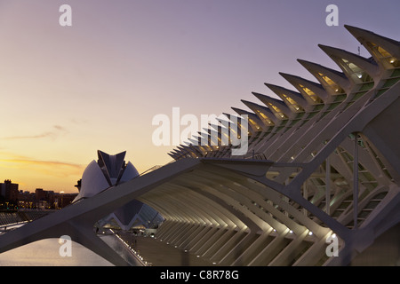 Musée des sciences Príncipe Felipe, le Palau de les Arts Reina Sofia, Valencia, Espagne Banque D'Images