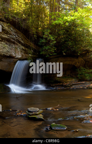 Raper creek falls Banque D'Images