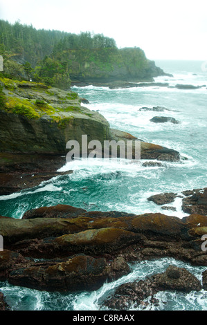 Océan et côte rocheuse de zone à distance Banque D'Images