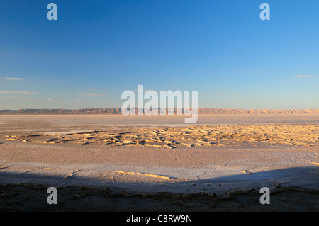 L'Afrique, Tunisie, Chott el Jerid entre Kébili et Tozeur. Croûte salée sur le Chott el Jerid, dans le sud de la Tunisie. Banque D'Images