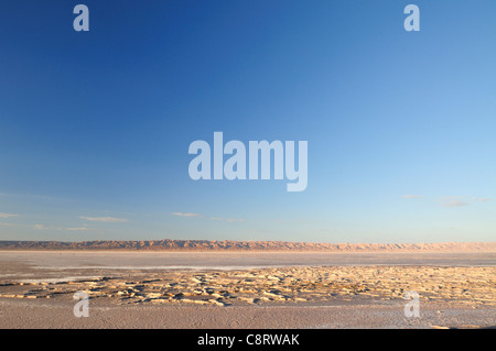 L'Afrique, Tunisie, Chott el Jerid entre Kébili et Tozeur. Croûte salée sur le Chott el Jerid, dans le sud de la Tunisie. Banque D'Images