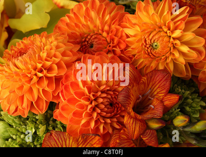 Un gros plan d'un bouquet de fleurs colorées. Des roses jaunes, roses orange, jaune les orchidées cymbidiums, freesias orange, hydrangea Banque D'Images