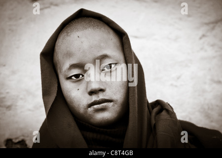 Jeune moine de Tawang Gompa, de l'Arunachal Pradesh, Inde Banque D'Images