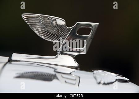 Logo sur une voiture Bentley vintage. Banque D'Images