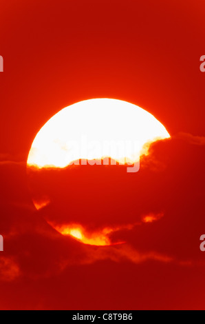 USA, New York City, Close-up de grand soleil rouge Banque D'Images