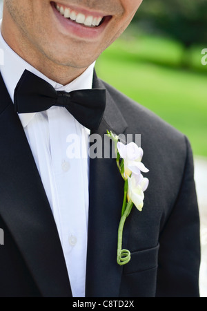 USA, New York State, Old Westbury, Close-up of smiling groom Banque D'Images