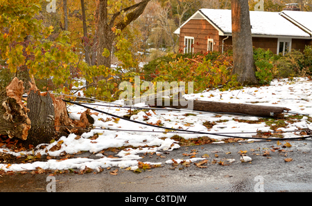 Endommagement et destruction d'une tempête d'automne surprise dans l'état de New York alors que les feuilles sont encore sur les arbres, un exemple de la perturbation des conditions météorologiques extrêmes causés par le changement climatique. Légende : nouvelles avant que le soleil commence à définir le 1 novembre 2011, trois jours après un blocage inattendu d'octobre blizzard a frappé les États-Unis, des fils électriques et des poteaux d'électricité sont toujours en baisse sur les routes et sur la propriété de résidents à Chappaqua, New York. Dans tout le nord-est des États-Unis, on estime que 1,7 millions de personnes sont encore sans électricité. Banque D'Images