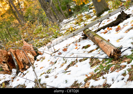 Endommagement et destruction d'une tempête d'automne surprise dans l'état de New York alors que les feuilles sont encore sur les arbres, un exemple de la perturbation des conditions météorologiques extrêmes causés par le changement climatique. Légende : nouvelles avant que le soleil commence à définir le 1 novembre 2011, trois jours après un blocage inattendu d'octobre blizzard a frappé les États-Unis, des fils électriques et des poteaux d'électricité sont toujours en baisse sur les routes et sur la propriété de résidents à Chappaqua, New York. Dans tout le nord-est des États-Unis, on estime que 1,7 millions de personnes sont encore sans électricité. Banque D'Images