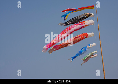 Drapeaux carpe appelée Koinoburi qui célèbrent la fête des enfants au Japon en vol, Soma, Fukashima Japon Banque D'Images