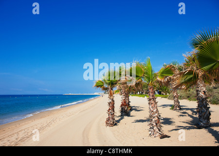 El Francas beach. El Vendrell, Catalogne, Espagne. Banque D'Images