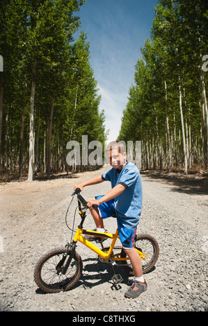 USA, Ohio, Boardman, Boy riding bike entre les peupliers dans tree farm Banque D'Images