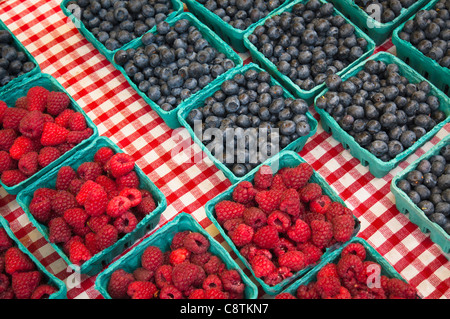 USA (Oregon), Lake Oswego, les framboises et les bleuets en cartons Banque D'Images