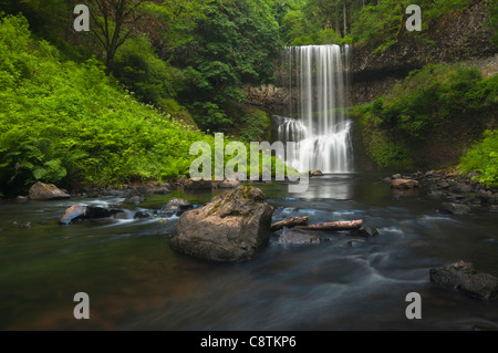 USA (Oregon), Silver Falls State Park, South Falls Banque D'Images