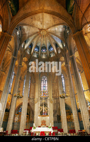 Vue intérieure de la cathédrale Sainte-Croix et Sainte-Eulalie. Barcelone, Catalogne, Espagne. Banque D'Images