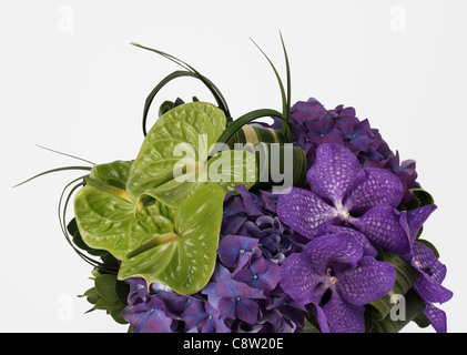 Un gros plan d'un bouquet de fleurs colorées. Les orchidées Vanda pourpre, vert, pourpre l'anthurium hydrangea. Banque D'Images