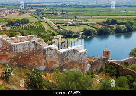Vue depuis le château de Miravet vers l'Èbre. Miravet village, Catalogne, Espagne. Banque D'Images