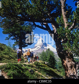 Randonneurs sur le sentier avec Arolla Zermatt Matterhorn et pins Valais Suisse Europe Banque D'Images