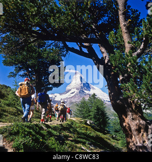 Randonneurs sur le sentier avec Arolla Zermatt Matterhorn et pins Valais Suisse Europe Banque D'Images